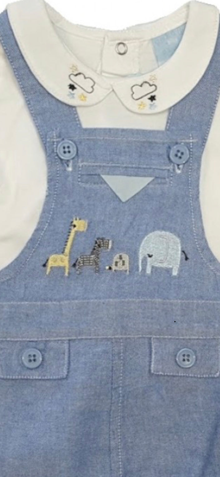 Chambray dungaree set